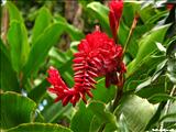 Jardín Botánico - SAN JUAN